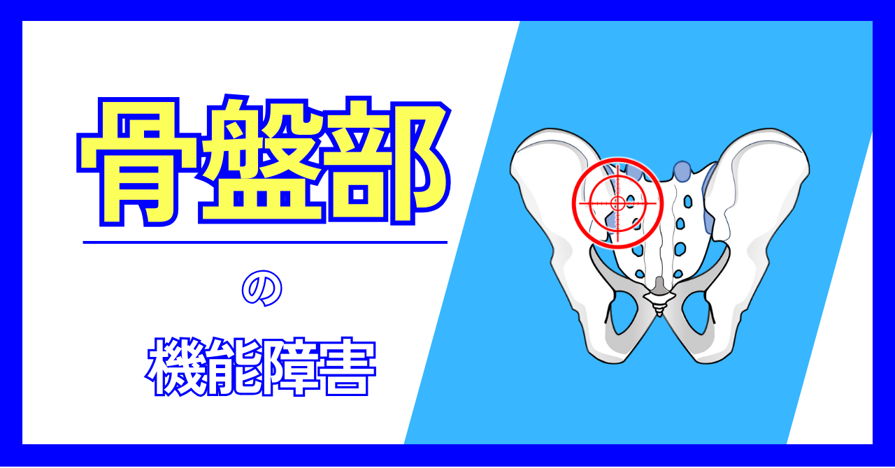骨盤部の機能障害